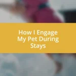 How I Engage My Pet During Stays