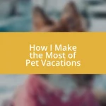 How I Make the Most of Pet Vacations