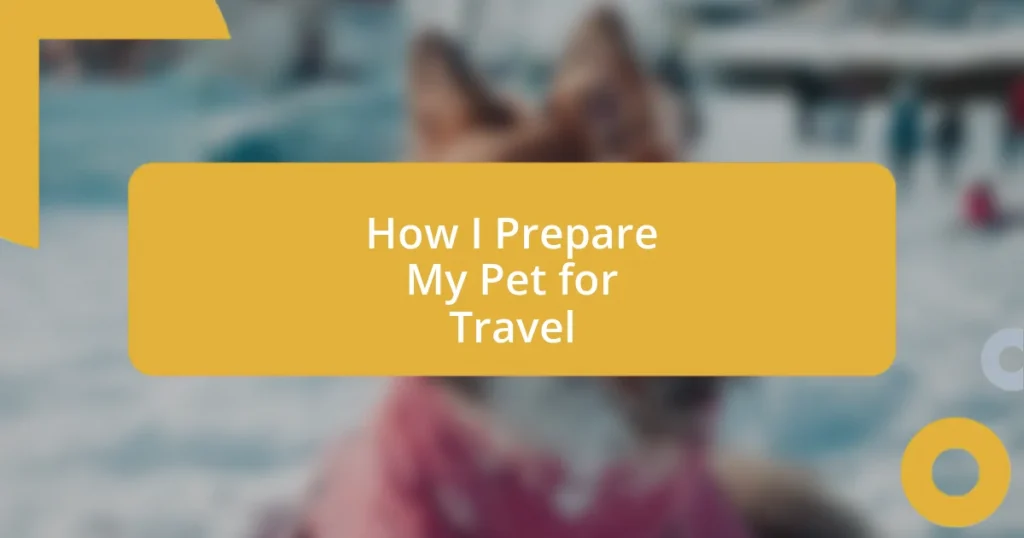 How I Prepare My Pet for Travel