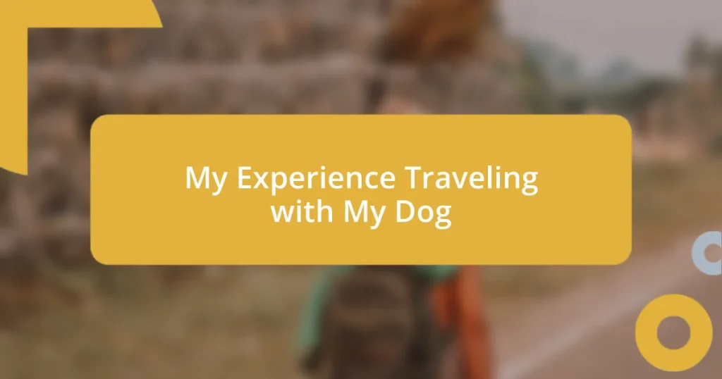 My Experience Traveling with My Dog