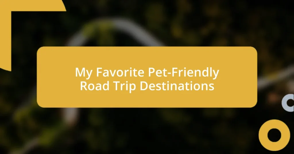 My Favorite Pet-Friendly Road Trip Destinations